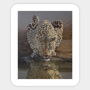 animal leopard Sticker